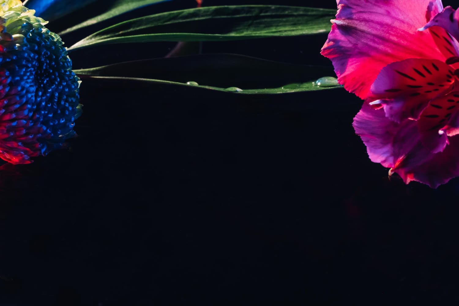 Increasing sales with a high-quality website for a flower shop